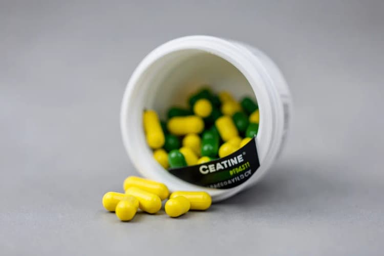Um pote de creatina em cápsula aberto com algumas cápsulas visíveis.