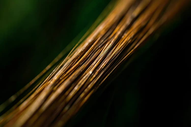 Um close-up de uma mecha de cabelo castanho brilhante com reflexos dourados.